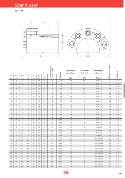 Spanbussen serie BR 110